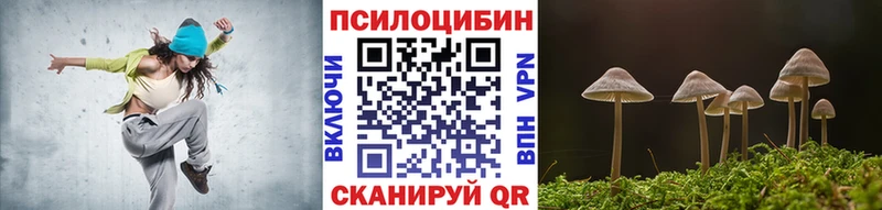 что такое Железногорск-Илимский Псилоцибиновые грибы Psilocybine cubensis